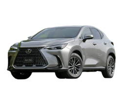 Eva коврики для Lexus NX 250 (2021 - 2023)